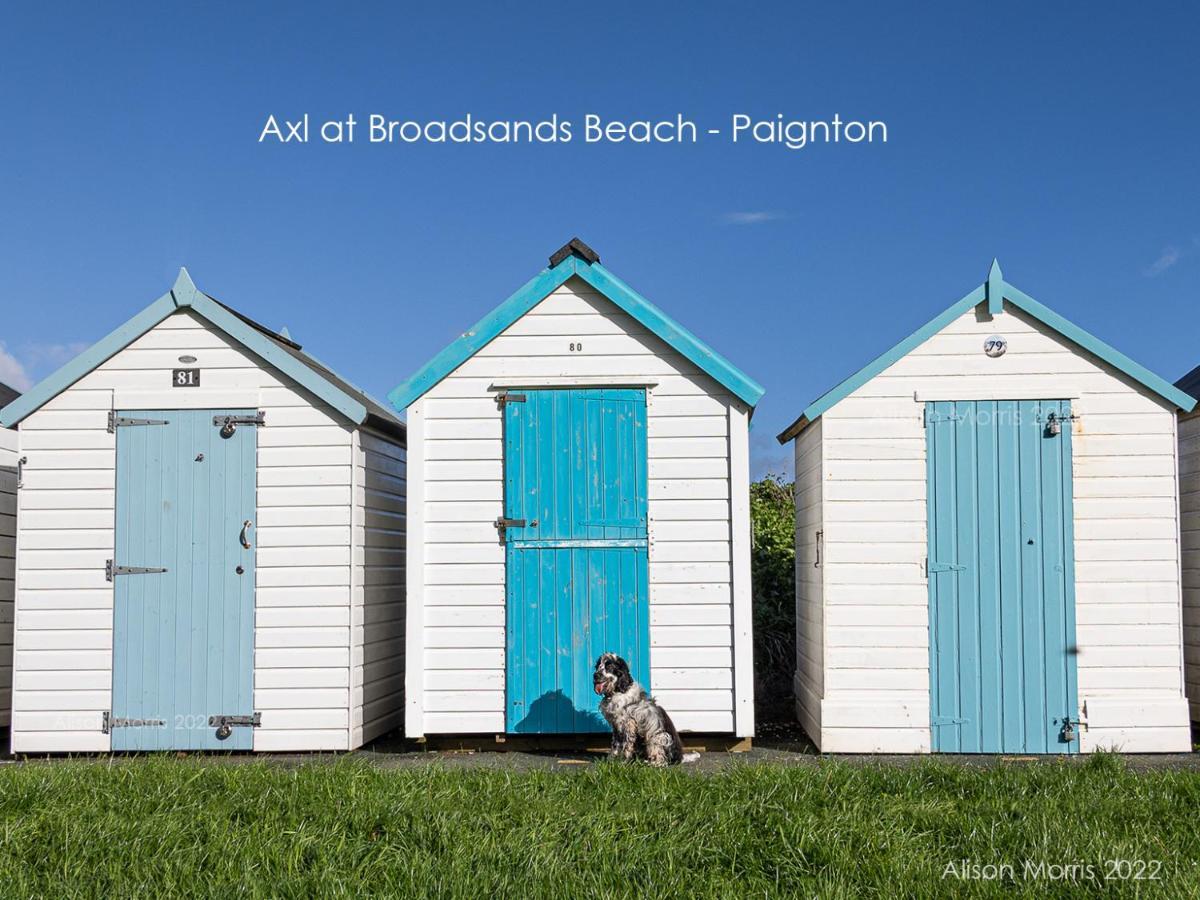 Dart Haven - Cheerful Holiday Bungalow In Galmpton Exterior foto